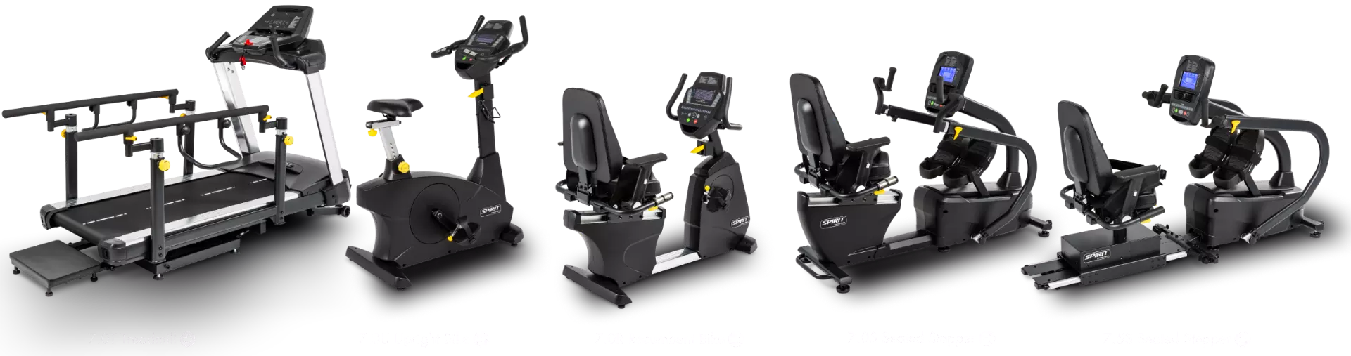 Gym Equipment
