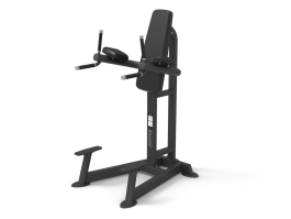 VERTICAL LEG RAISE/DIP